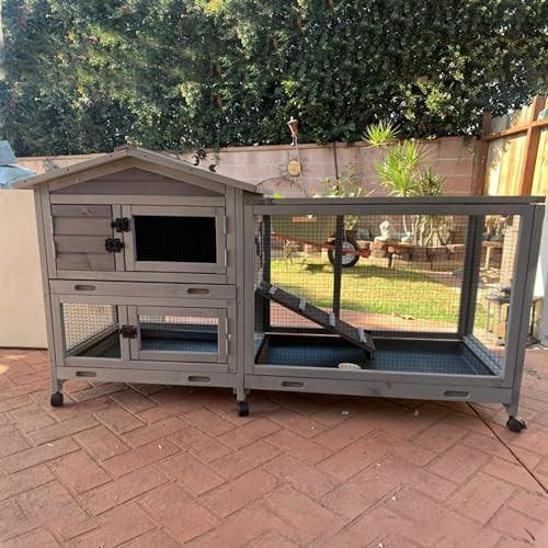Outdoor Rabbit Hutch with Integrated Run