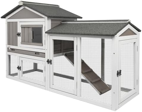 Two story hutch with asphalt roof