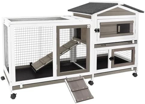 Two story outdoor hutch with ramp
