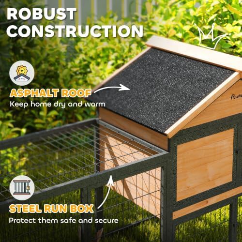 Large outdoor hutch with steel run — photo 4