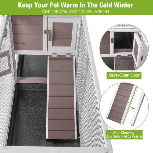 Mobile hutch with chew resistant ramp — photo 4