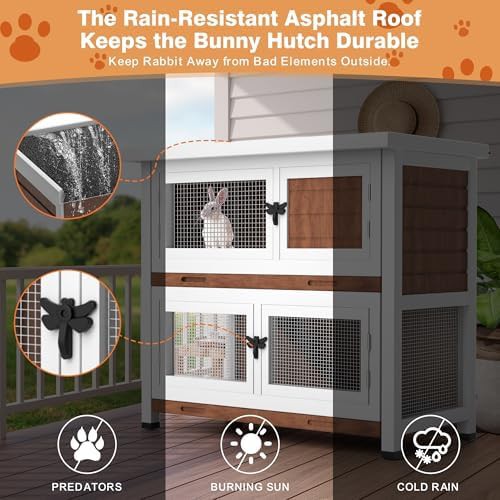 Walnut two story guinea pig hutch — photo 4