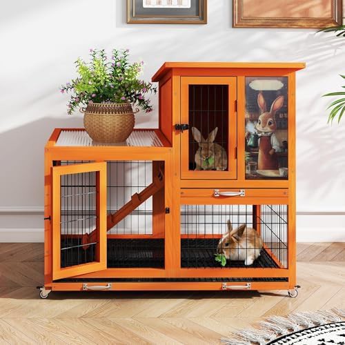Orange indoor hutch with wire floor