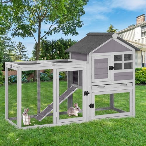 Large grey outdoor hutch and coop