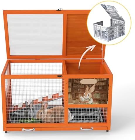 Heated double decker orange wooden hutch — photo 4