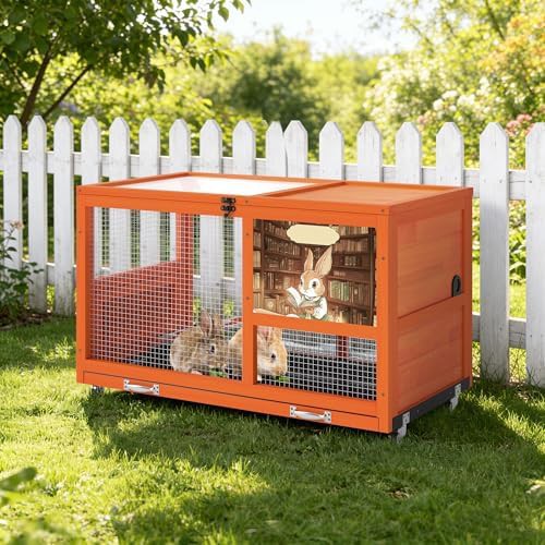 Heated double decker orange wooden hutch — photo 5