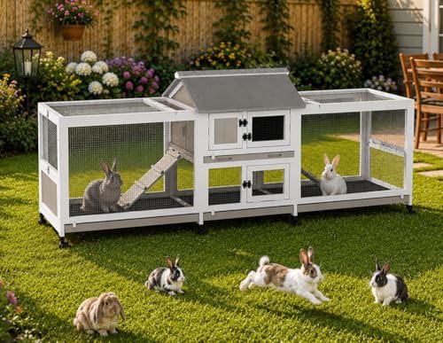 Extra large two story hutch with dual runs