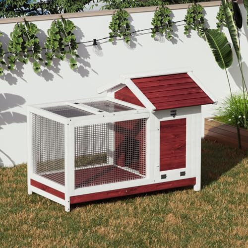 Wooden hutch with anti chew metal frame — photo 5