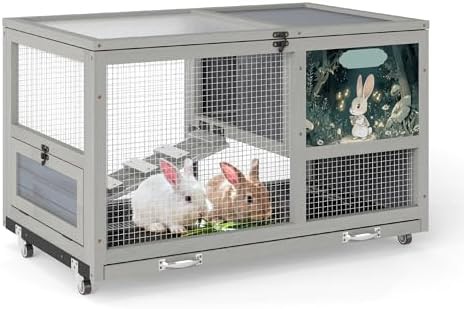 Orange double decker hutch with purifier — photo 3