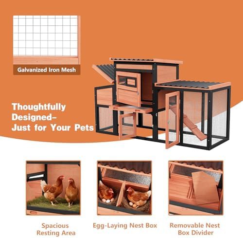 Weatherproof Wooden Chicken Coop and Hutch — photo 4