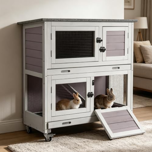 Two story indoor cage with plastic tray